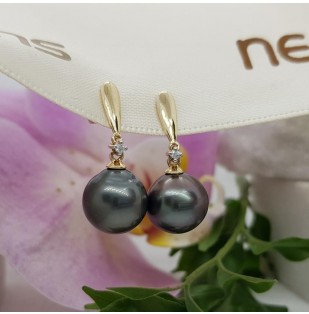 9ct gold and diamond Tahitian pearl drop earrings NCTPE261