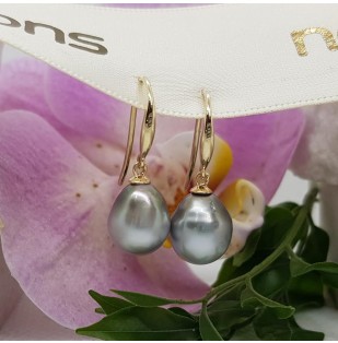9ct gold Tahitan pearl drop NCTPE249L